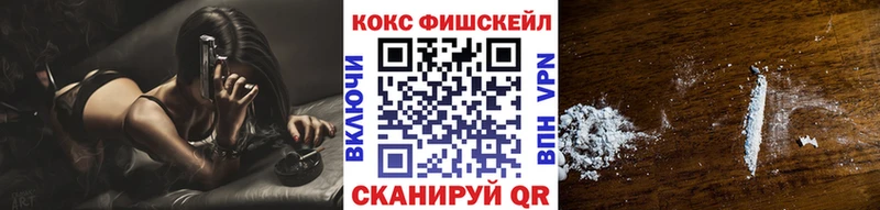 MEGA ссылки  наркота  Емва  COCAIN FishScale 