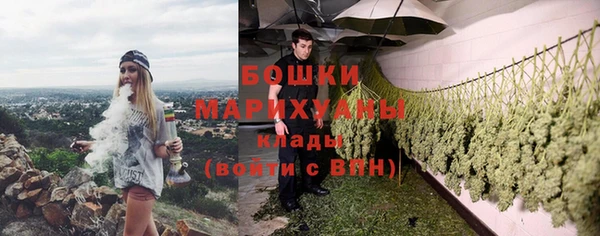 гашик Белоозёрский