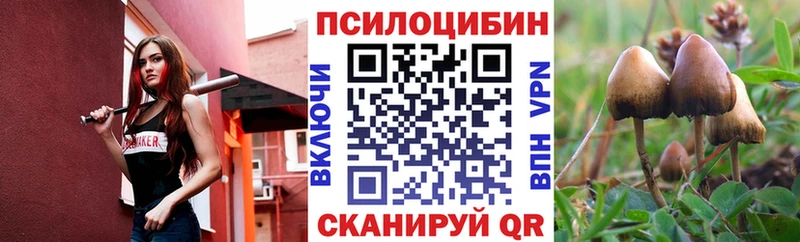 купить наркотик  Емва  Галлюциногенные грибы прущие грибы 